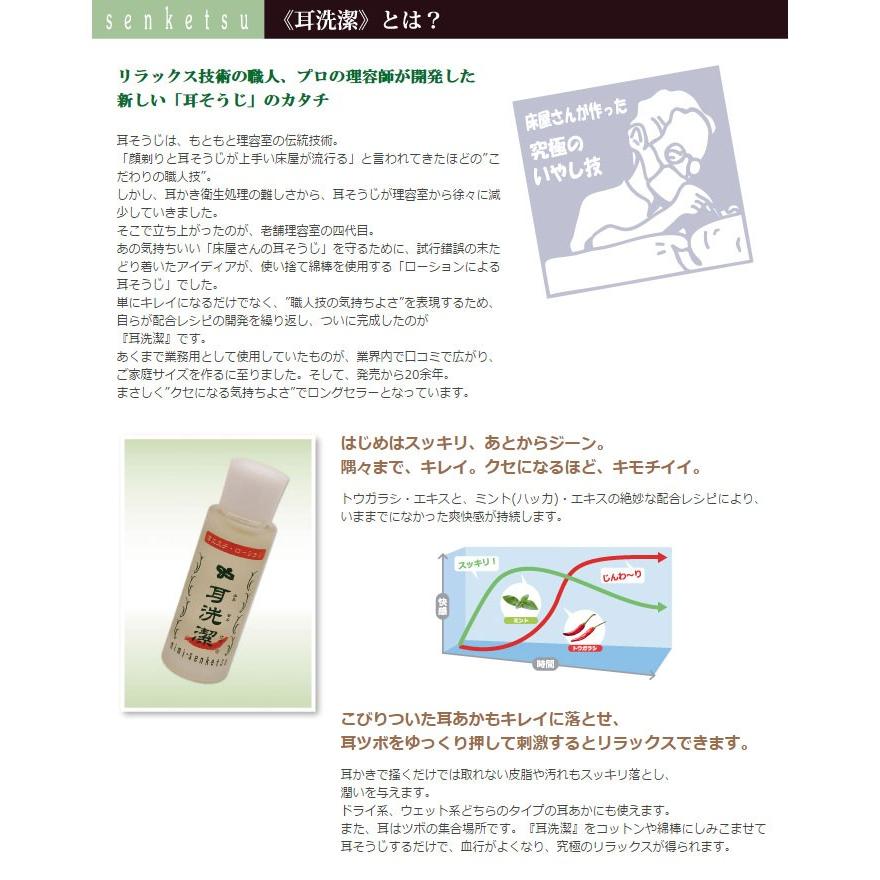 選べる2個セット 耳せんけつ 耳洗潔 / COOL耳洗潔 20ml 約100