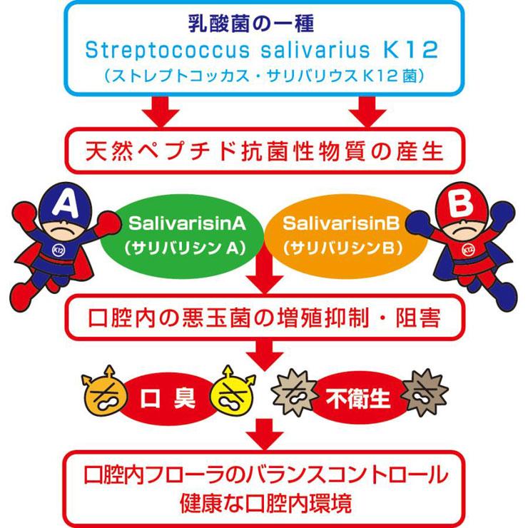 フェアユング プロバイオティクスK12 (30粒) 乳酸菌 口腔ケア K12