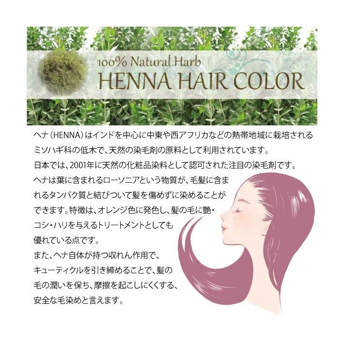 ジャパンヘナ ブロンズグレー 100g / 白髪染め オーガニック カラー トリートメント ヘンナ japan henna｜nenrin｜03