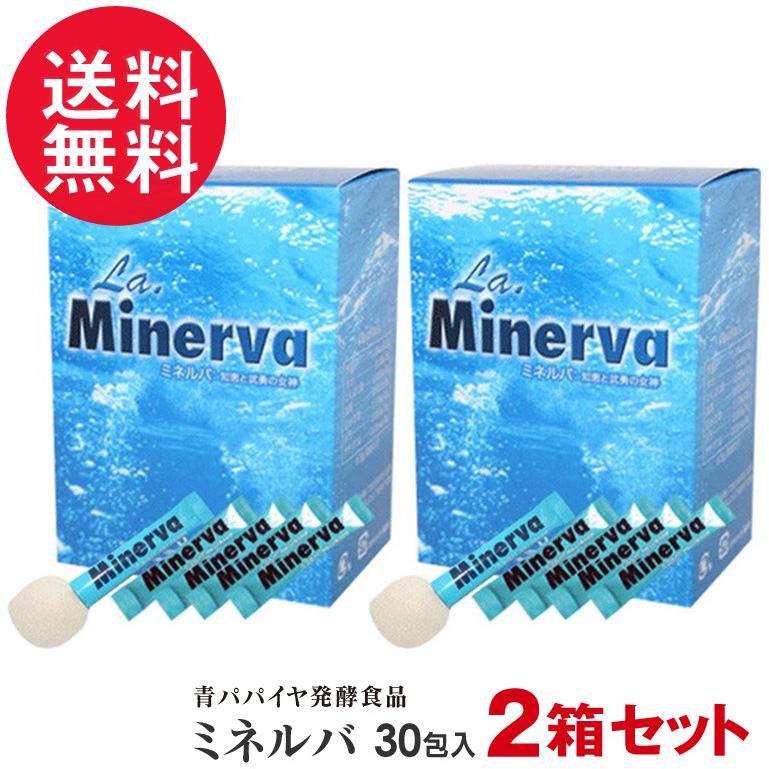 2個セット 発酵自然食品 ミネルバ 青パパイヤ発酵食品(30包×2)＋4包 