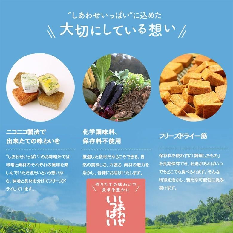 フリーズドライ 粕汁 母の味かす汁(100食入り) 酒粕汁 高級 お味噌汁 みそ汁 野菜 コスモス食品 インスタント｜nenrin｜06