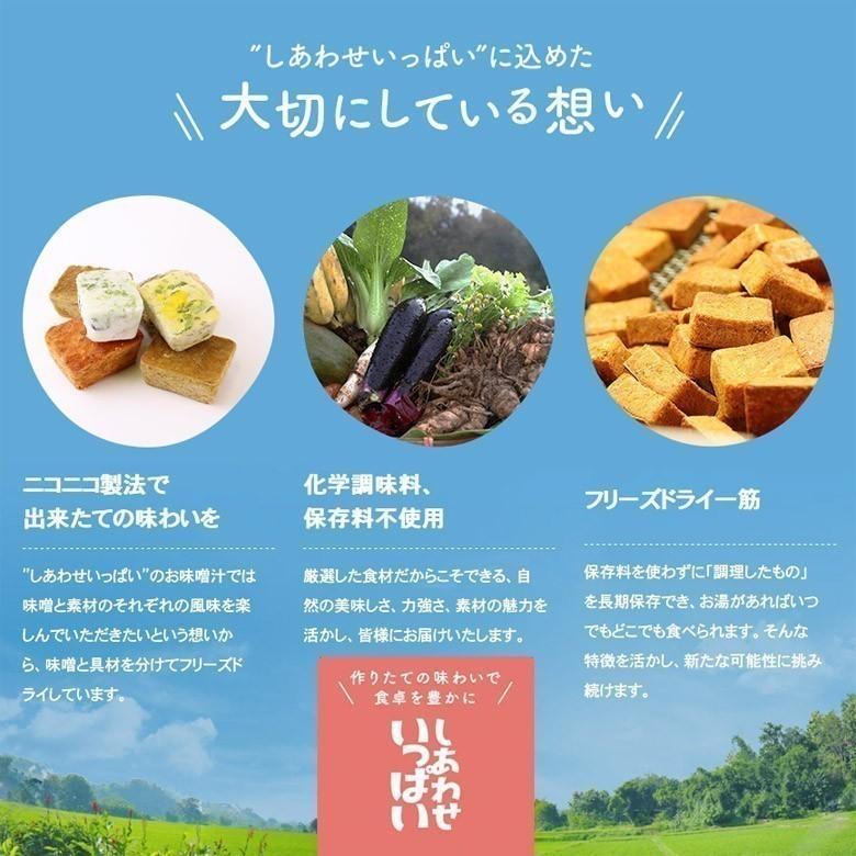 フリーズドライ 白ねぎの鶏仕立て味噌汁(100食入り) 高級 お味噌汁 みそ汁 ネギ 鶏肉 コスモス食品 インスタント｜nenrin｜06