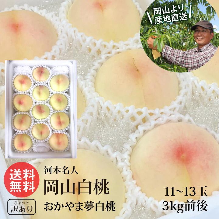河本農園 岡山白桃 おかやま夢白桃 11〜13玉 3kg前後 少し 訳あり 白桃 岡山 産地直送