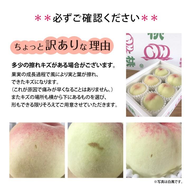 ★動作確認済み 河本農園 岡山白桃 おかやま夢白桃 11〜13玉 3kg前後 少し 訳あり 白桃 岡山 産地直送 【I1707528607】(9620円)
