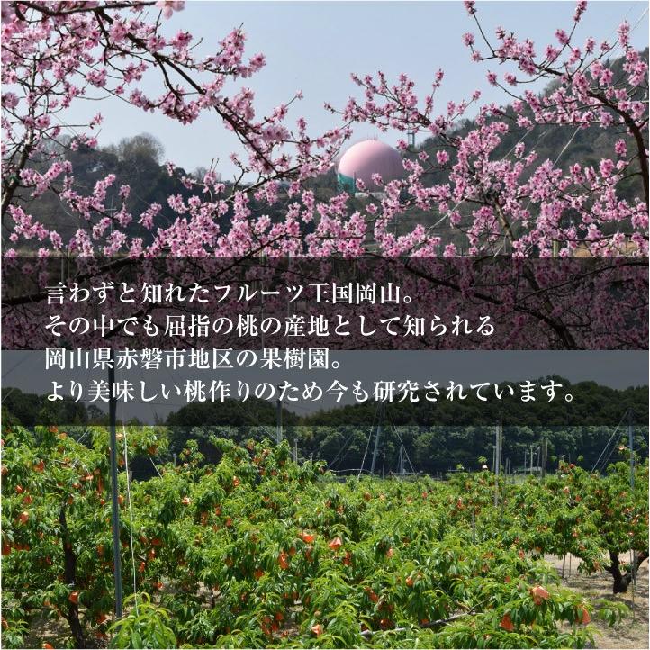 ★動作確認済み 河本農園 岡山白桃 おかやま夢白桃 11〜13玉 3kg前後 少し 訳あり 白桃 岡山 産地直送 【I1707528607】(9620円)
