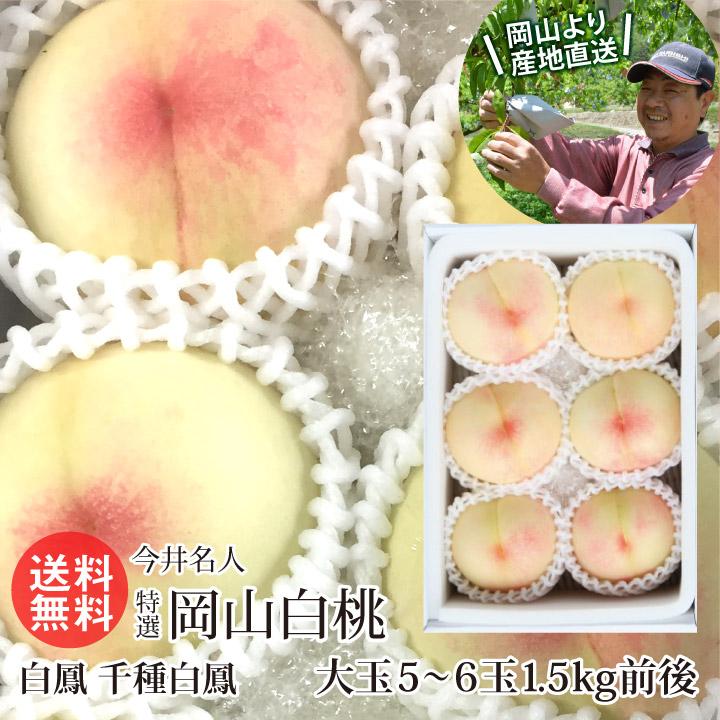 今井農園 特選 岡山白桃 5〜6玉 1.5kg前後(白鳳 千種白鳳)ロイヤル級