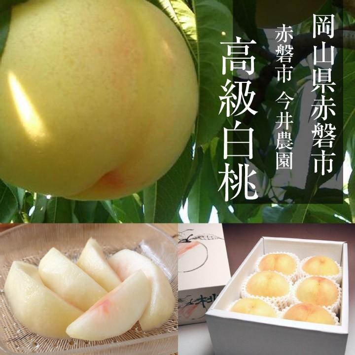 今井農園 特選 岡山白桃 5〜6玉 1.5kg前後(白鳳 千種白鳳)ロイヤル級