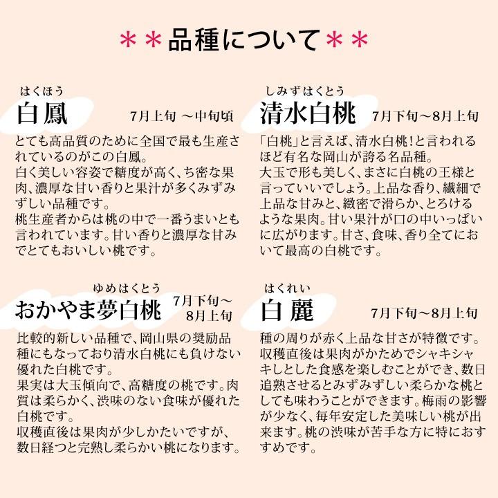 今井名人 ご自宅用 岡山白桃 11〜12玉 3kg前後(おかやま夢白桃 白麗