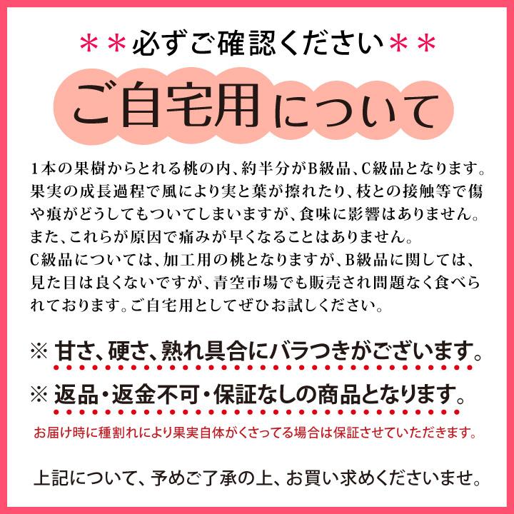 ご自宅用 清水白桃 11〜12玉 3kg前後 白桃 今井名人 岡山 訳あり B品