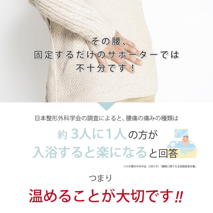 IFMC. イフミック バランスガード 腰ベルト 腰サポーター 日本製