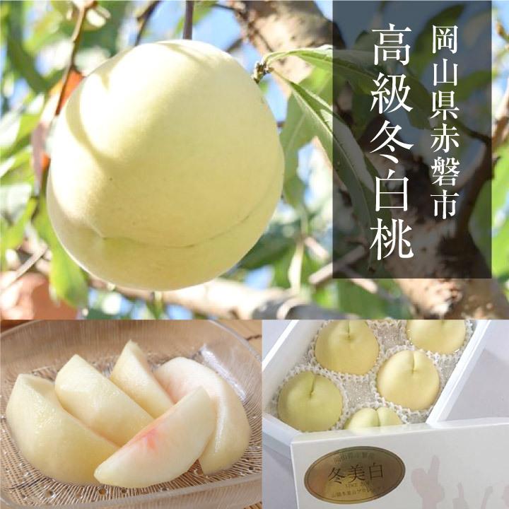 冬美白 桃 とうびはく 大玉3玉 岡山 冬桃 白桃 産地直送 硬め