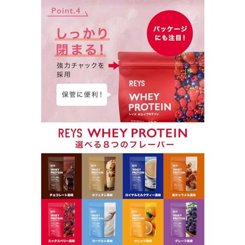 Reys プロテイン4種類　各1kg REYS レイズ ホエイ プロテイン 山澤 礼明 監修 1kg 国内製造 ビタミン