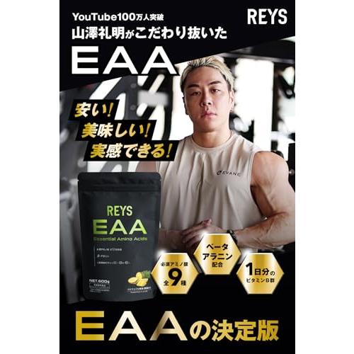 REYS レイズ EAA 山澤礼明 監修 必須アミノ酸 9種配合 600g 栄養機能