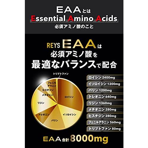 REYS レイズ EAA 山澤礼明 監修 必須アミノ酸 9種配合 600g 栄養機能