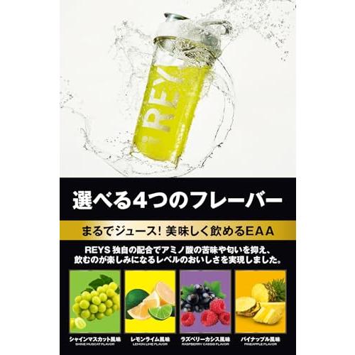 REYS レイズ EAA 山澤礼明 監修 必須アミノ酸 9種配合 600g 栄養機能