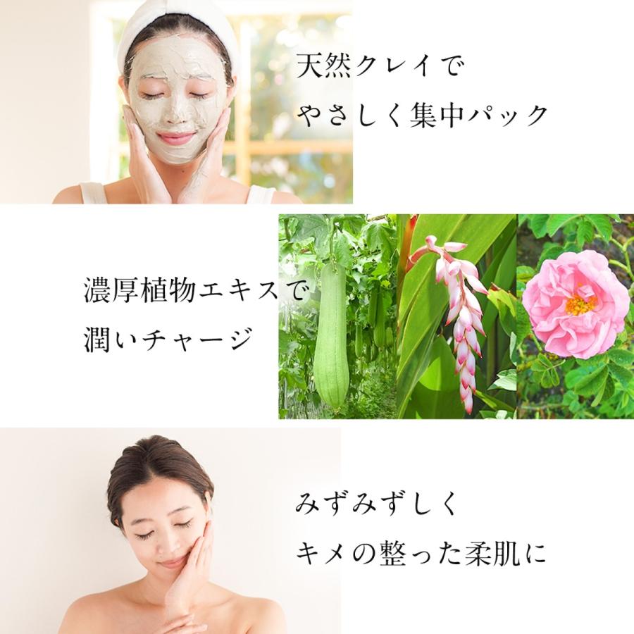 Naturesfor 公式 クリア＆チャージクレイ 泥パック 100g×3本セット｜neo-natural｜04