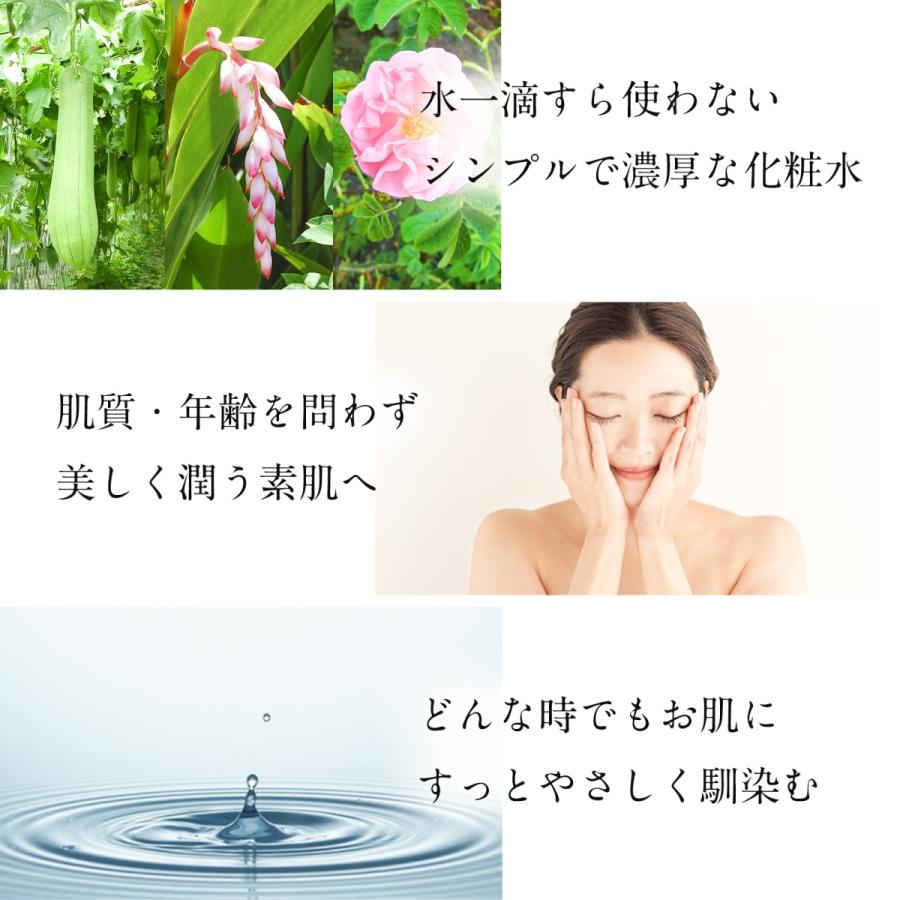 Naturesfor 公式 ヒーリングローション 化粧水 120ｍL 1本｜neo-natural｜05