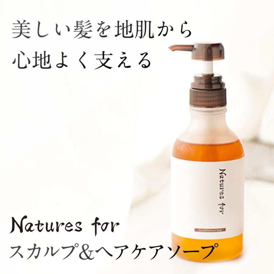 Naturesfor 公式 スカルプ＆ヘアケアソープ 石鹸シャンプー 400mL×3本セット｜neo-natural｜02