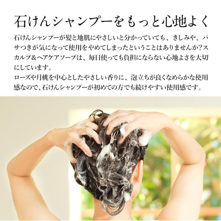 Naturesfor 公式 スカルプ＆ヘアケアソープ 石鹸シャンプー 400mL 1本｜neo-natural｜06