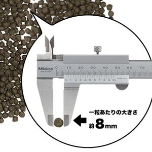 ネイチャーズテイスト グロースサポート 幼犬用 12kg(3kg×4袋) NATURES TASTE ドッグフード a 