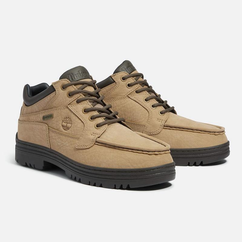 Timberland（ティンバーランド） ティンバーランドメンズ トレッキング