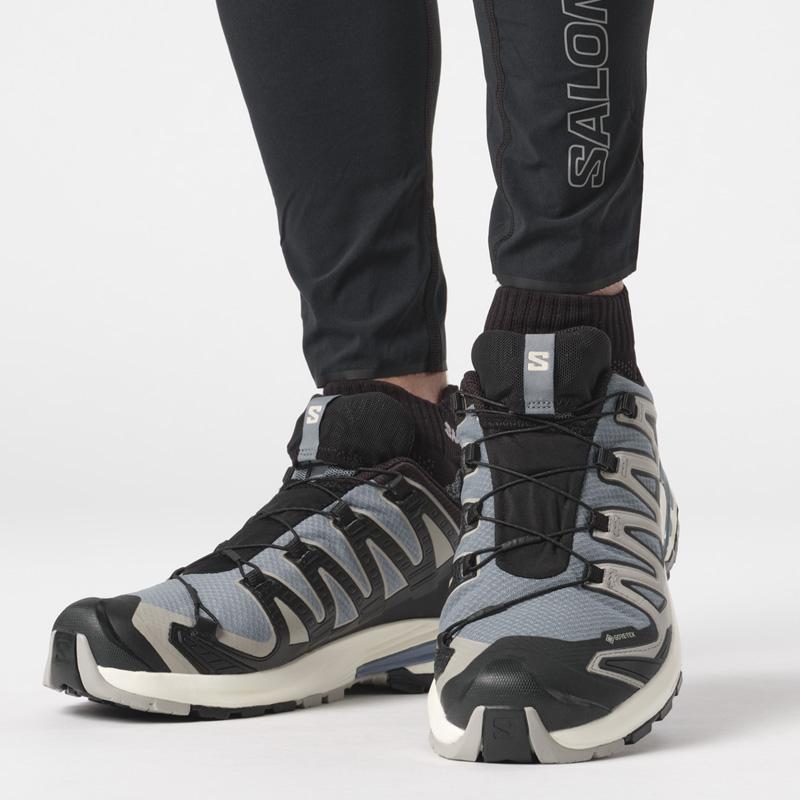 SALOMON（サロモン） SALOMON XA PRO 3D V9 GORE-TEX Flint Stone