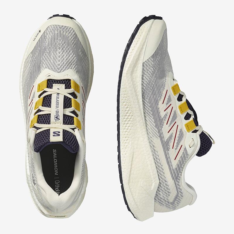 SALOMON（サロモン） メンズ 防水 グラベルランニング ランニング