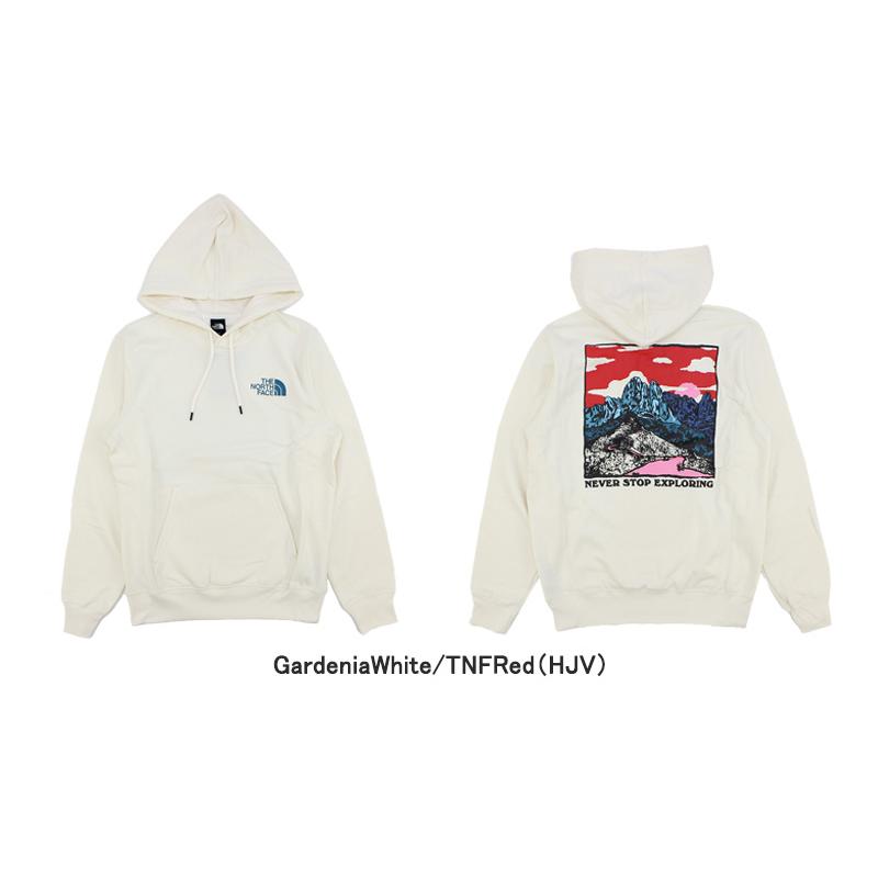 ザ・ノース フェイス THE NORTH FACE Mens Graphic Injection Hoodie