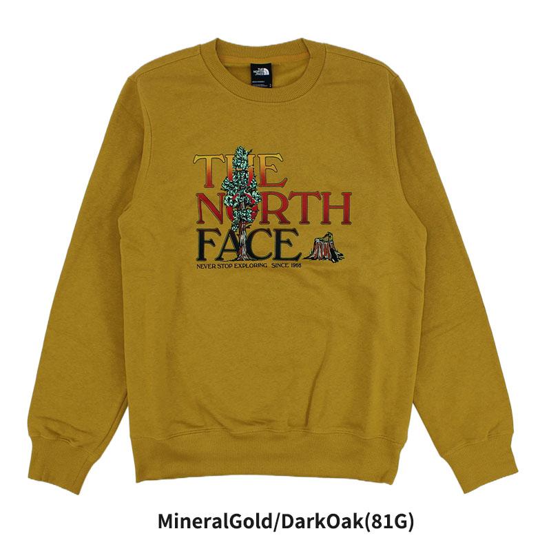 THE NORTH FACE 【並行輸入】ザ・ノース フェイス Mens Graphic