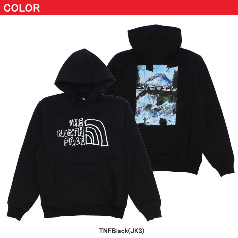 THE NORTH FACE 【並行輸入】ザ・ノース フェイス Men's Printed