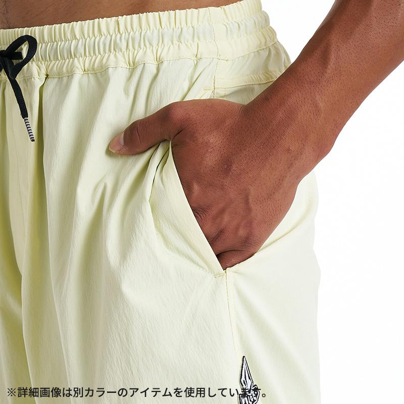 VOLCOM（ボルコム） メンズ ボードショーツ サーフパンツ 水着 春夏