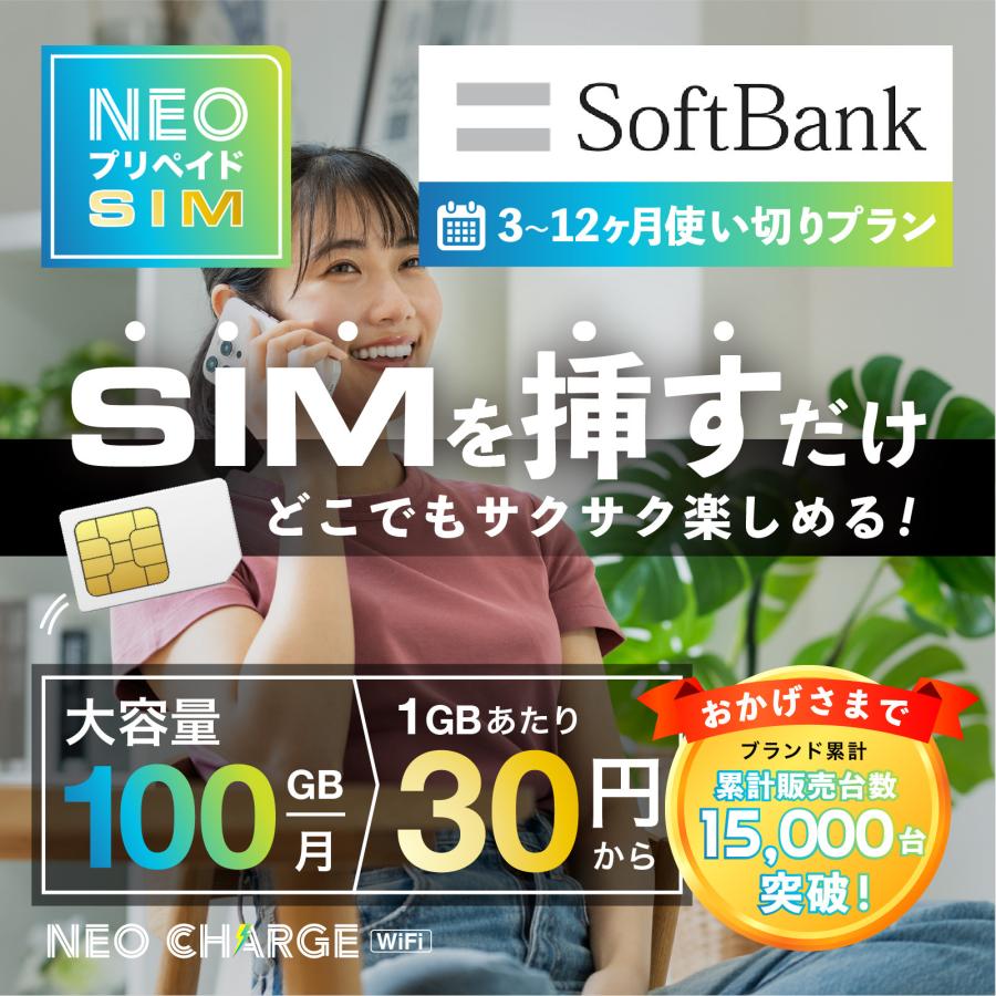 Softbank 超大容量100GBプリペイド デーダカードSIMのみ送料無料 SoftBank回線】大容量100GB 使い切り期間選択プラン 契約不要 月額0円