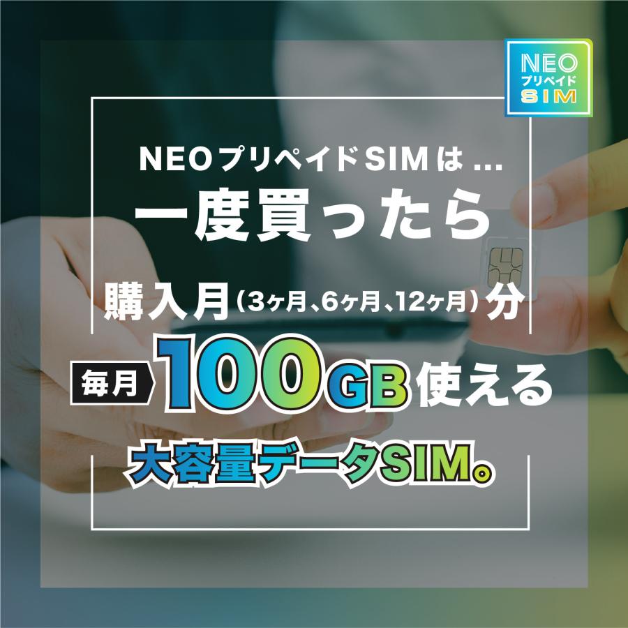 SoftBank回線】大容量100GB 使い切り期間選択プラン 契約不要 月額0円 