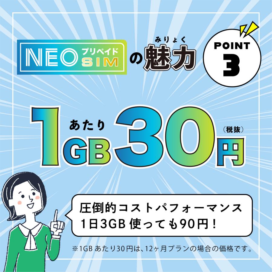 SoftBank回線】大容量100GB 使い切り期間選択プラン 契約不要 月額0円 
