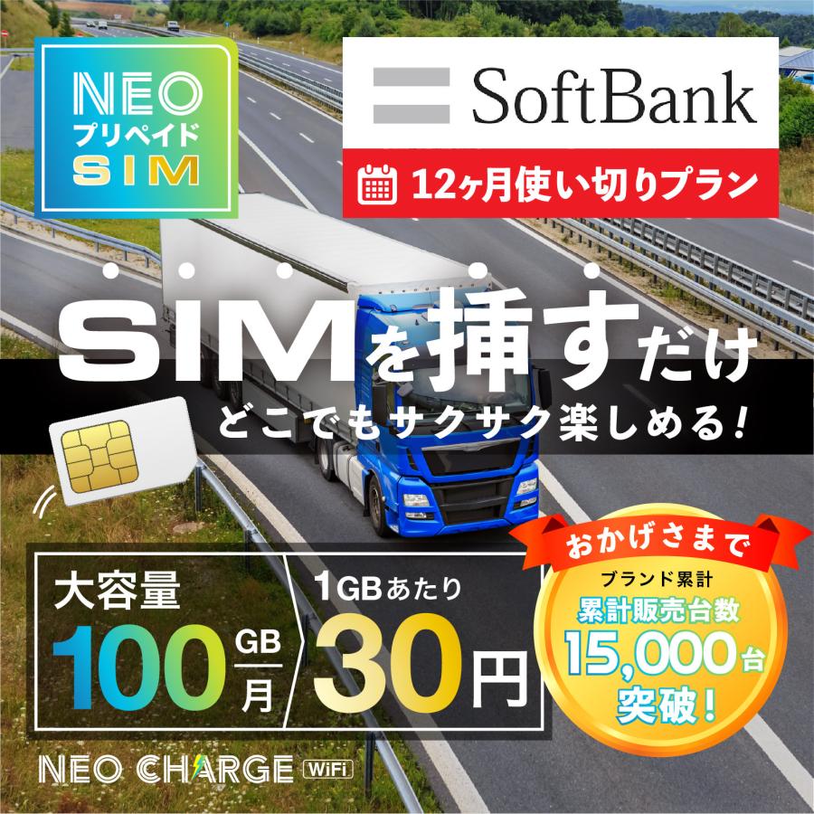 SoftBank回線】大容量100GB 12ヶ月使い切りプラン 契約不要 月額0円 