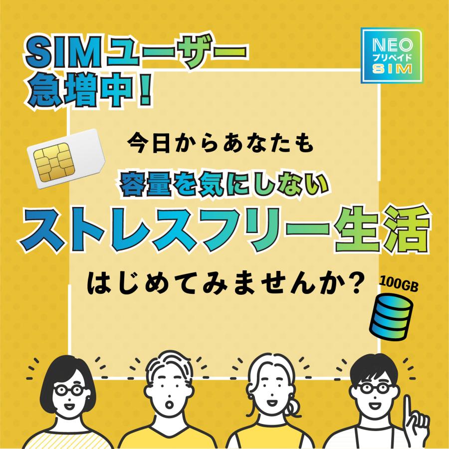 SoftBank回線】大容量100GB 12ヶ月使い切りプラン 契約不要 月額0円