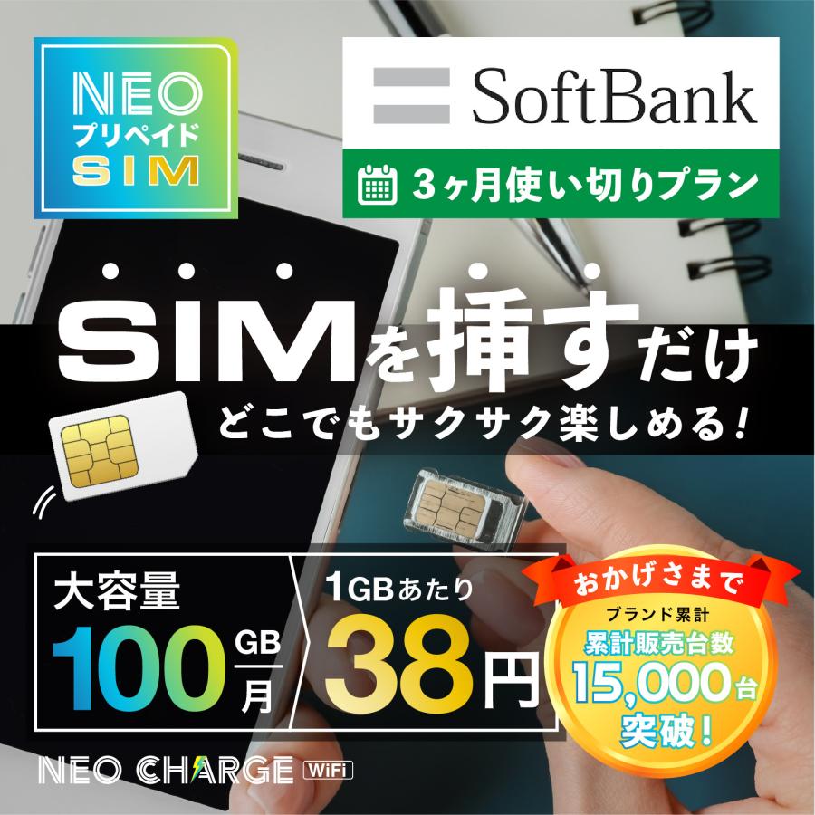 SoftBank回線】大容量100GB 3ヶ月使い切りプラン 契約不要 月額0円