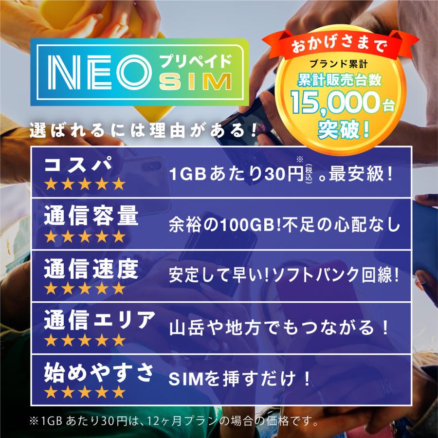 SoftBank回線】大容量100GB 6ヶ月使い切りプラン 契約不要 月額0円