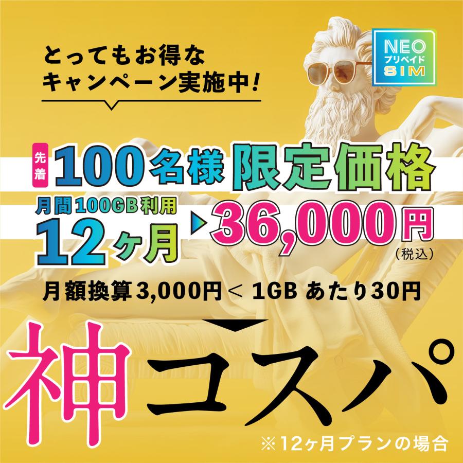 送料なし 501hw 月間100ギガ大容量プラン SoftBank回線】大容量100GB 6ヶ月使い切りプラン 契約不要 月額0円
