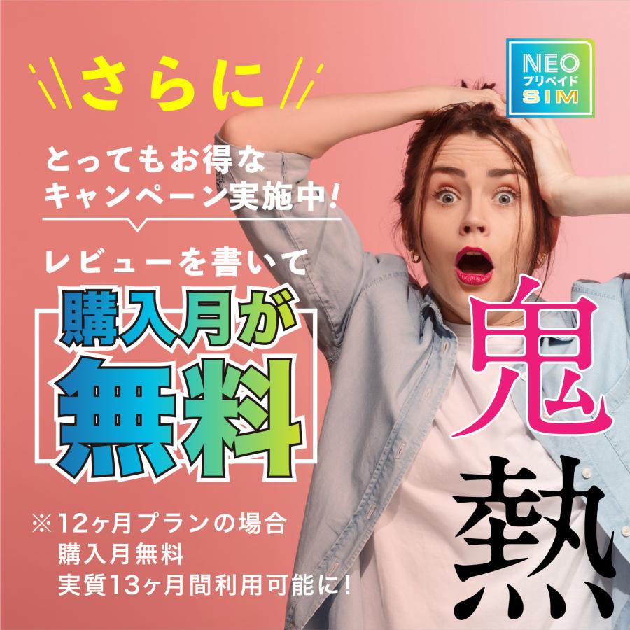 送料なし 501hw 月間100ギガ大容量プラン SoftBank回線】大容量100GB 6ヶ月使い切りプラン 契約不要 月額0円