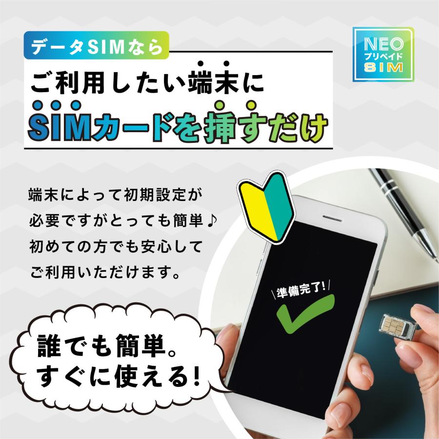SoftBank回線】大容量100GB 6ヶ月使い切りプラン 契約不要 月額0円 