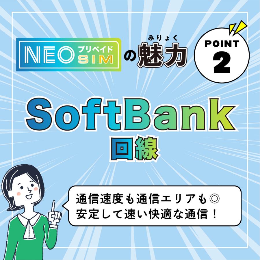 送料なし 501hw 月間100ギガ大容量プラン SoftBank回線】大容量100GB 6ヶ月使い切りプラン 契約不要 月額0円