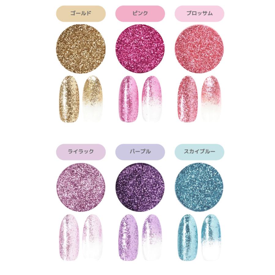 輝くラメグリッター 全10種 ピンク パープル ゴールド ブラウン ブルー