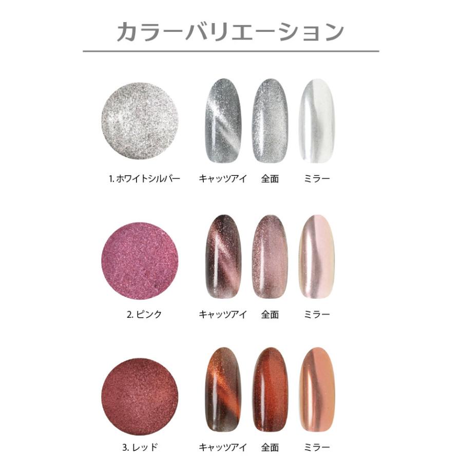 在庫処分セール！】カラーマグネットパウダー 全6色 ギャラクシー
