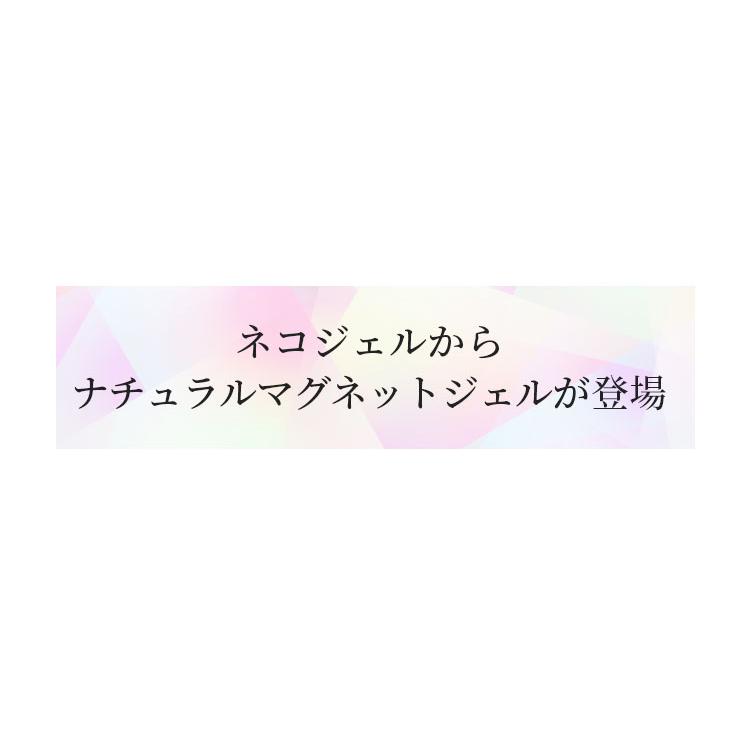 NEKO GEL（ネコジェル） ☆サマーセール☆ マグネットネイル