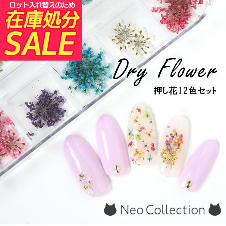 在庫処分セール！】小花ネイルパーツ 押し花 12色セット ケース入り