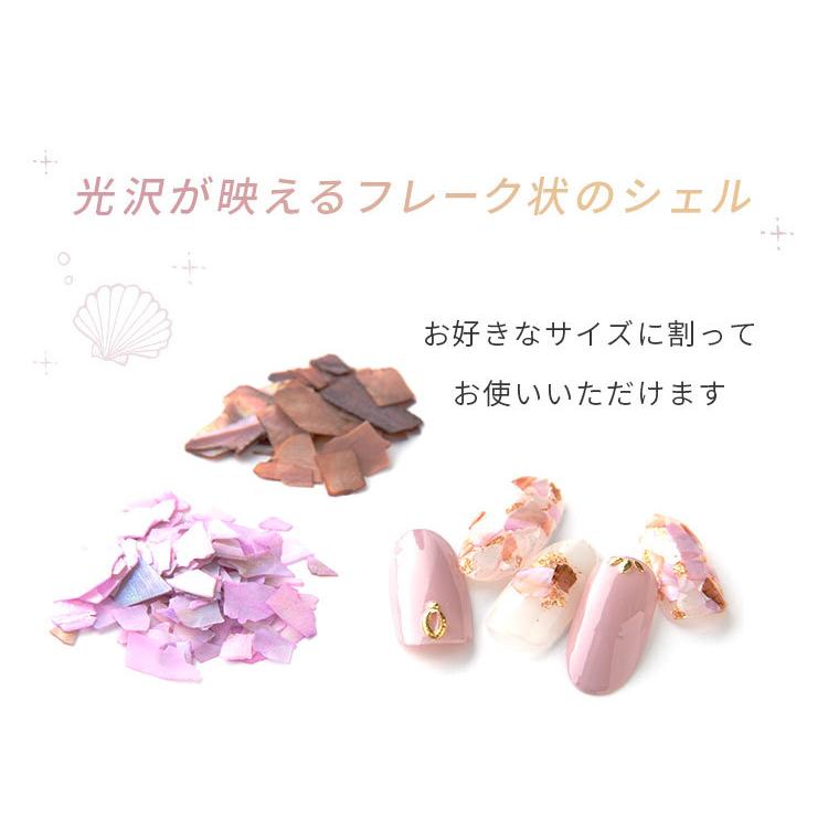 シェルフレーク 12色セット クラッシュシェル 貝殻 シェル