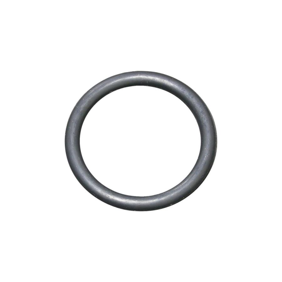 チューブプラグＯ−ｒｉｎｇ ３９ｍｍフォーク用 :001698:ネオ