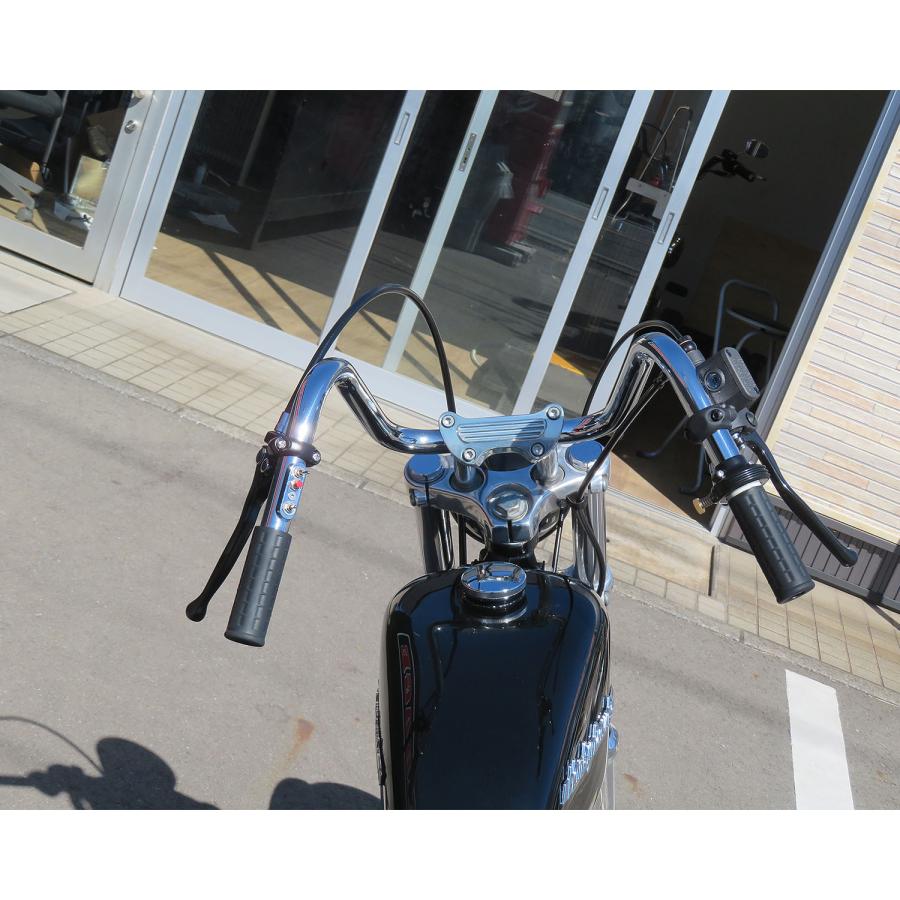 Harley Davidson（ハーレー・ダビッドソン） ヘコミ無し チョッパー