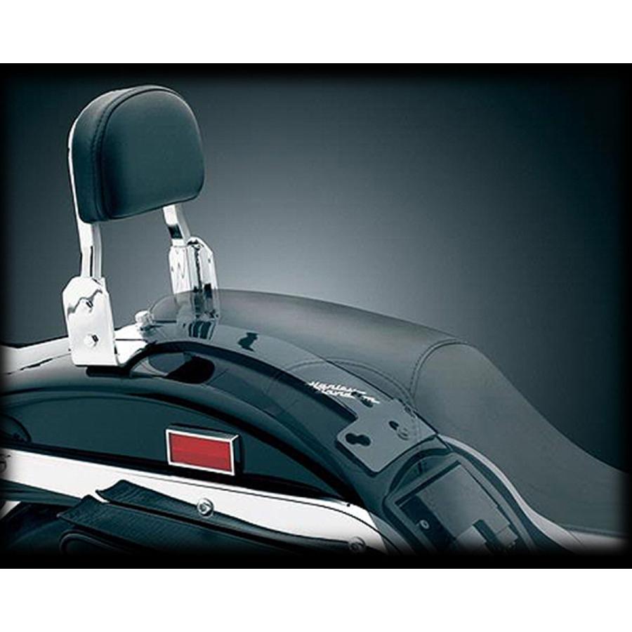 Harley Davidson（ハーレー・ダビッドソン） クリアキン シーシーバー 